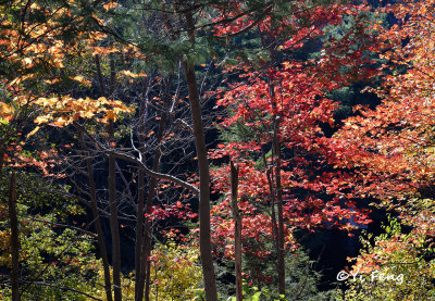 10-12-13 _03s.jpg