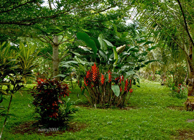 Garden at Bombaim Hotel