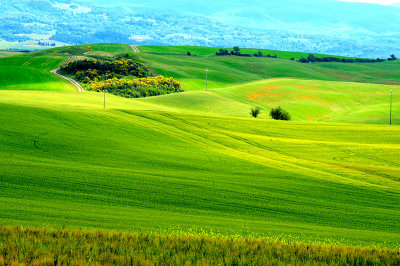  Beautifull Tuscany near Pienza, Italy May 2012