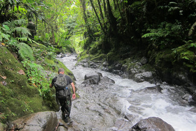 Ashley walking along the stream