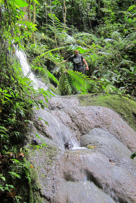 Waterfall