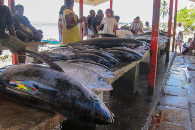 Gizo market