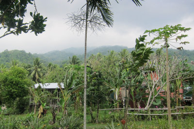 Niyami village