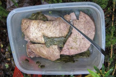 Lunch in the Bauro highlands - taro and taro leaves.