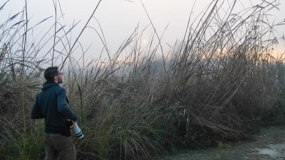Morning in Harike wetlands