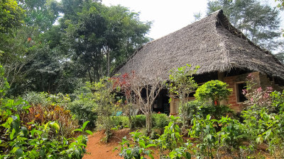 Emau Hill Forest Camp