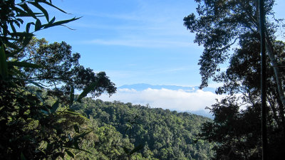 Mt. Karimui