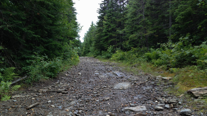 The track is pretty clean