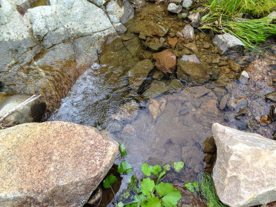Water is clear and fresh in the mountain
