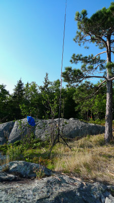 La Buddipole est prte pour le 20m