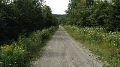 This is almost an highway