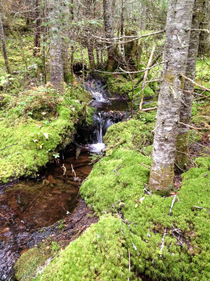 Little stream at the bottom of VE2/QC-073