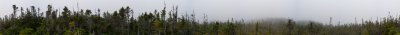 The view on top of Mont du Lac Ovide... not much to see with that fog