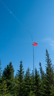 Linked dipole and flag
