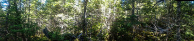 Traditional view from the top on VE2 Summit