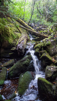 Trail some time are stream