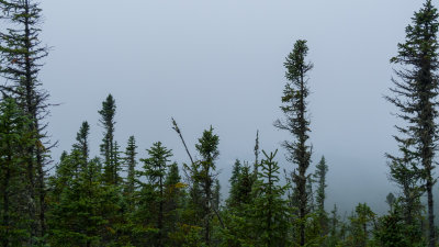 Can you see the lake?( lake Mose )