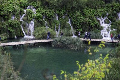 _MG_1664.jpg