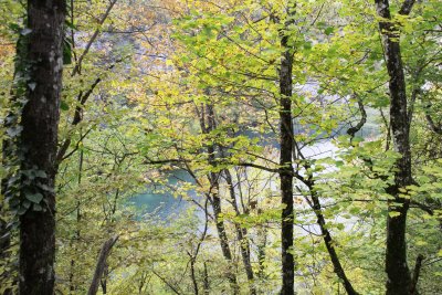 _MG_1665.jpg