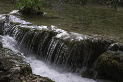 _MG_1706.jpg