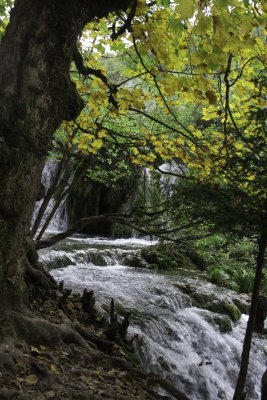 _MG_1709.jpg