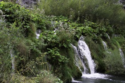 _MG_1713.jpg