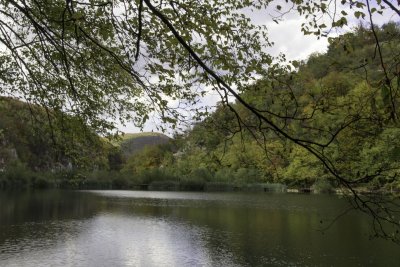 _MG_1718.jpg