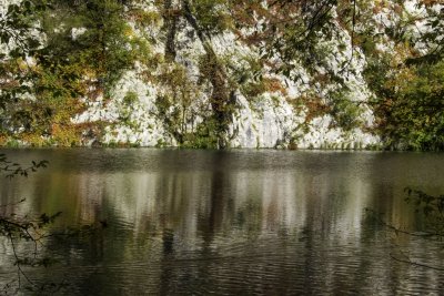 _MG_1721.jpg