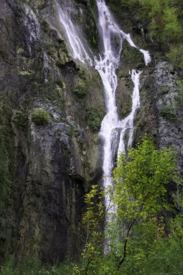_MG_1735.jpg