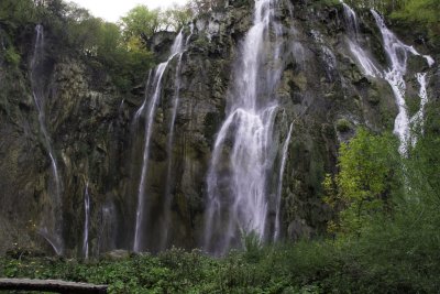 _MG_1736.jpg