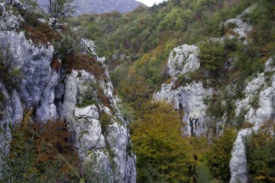 _MG_1744.jpg