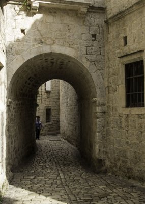 _MG_1858.jpg