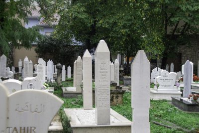 _MG_1956.jpg