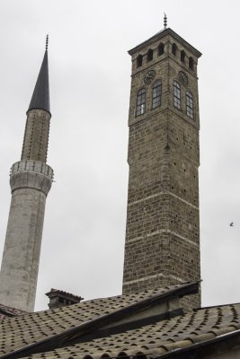 _MG_2061.jpg