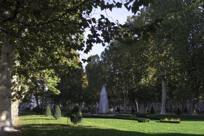 _MG_2228.jpg