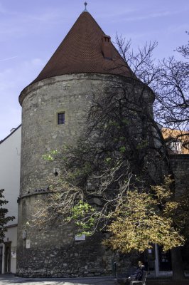 _MG_2274.jpg