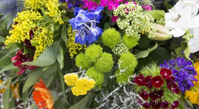 _MG_3029.jpg