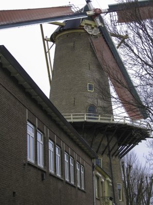 IMG_2935.JPG