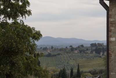 _MG_6014.jpg