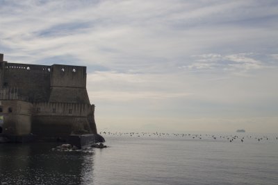 _MG_6061.jpg