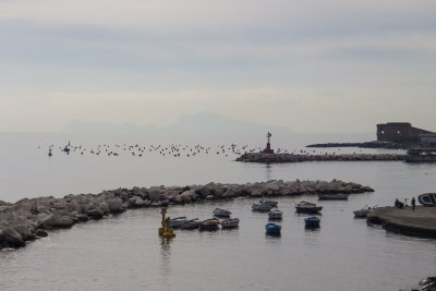 _MG_6071.jpg