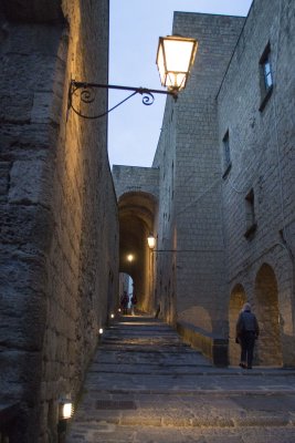 _MG_6111.jpg