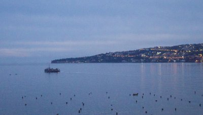 _MG_6121.jpg