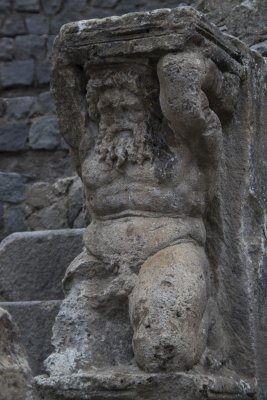 _MG_6313.jpg
