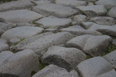 _MG_6316.jpg