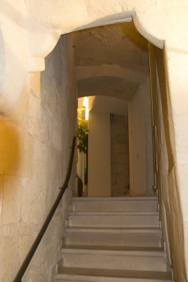 IMG_6381.jpg