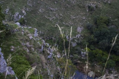 _MG_6507.jpg