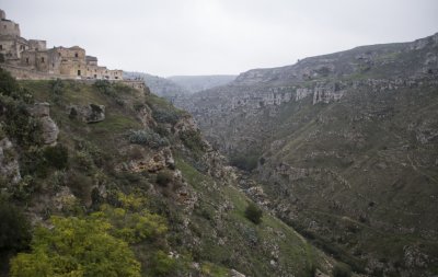 _MG_6510.jpg