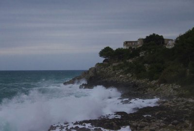 _MG_6644.jpg