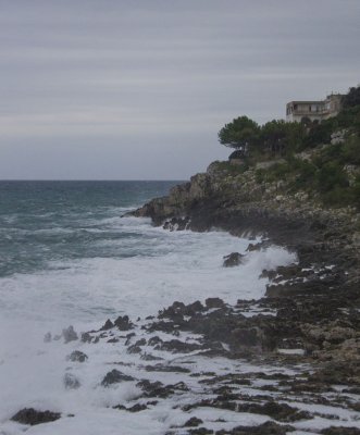 _MG_6646.jpg